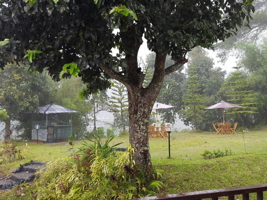 Casa Monte Rosa Puncak Dış mekan fotoğraf